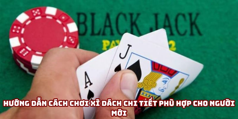 Hướng dẫn cách chơi xì dách chi tiết phù hợp cho người mới