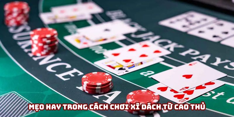 Mẹo hay trong cách chơi xì dách từ cao thủ