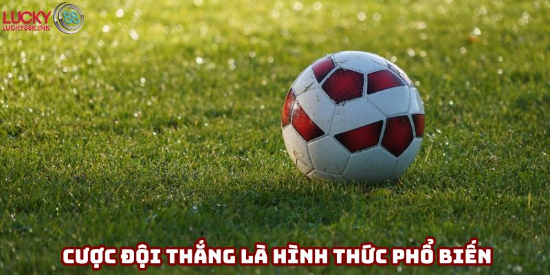 Cược đội thắng là hình thức khá phổ biến