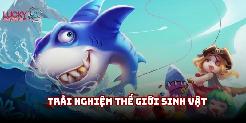 Tham gia Rainbow Fish được trải nghiệm thế giới sinh vật biển đa dạng