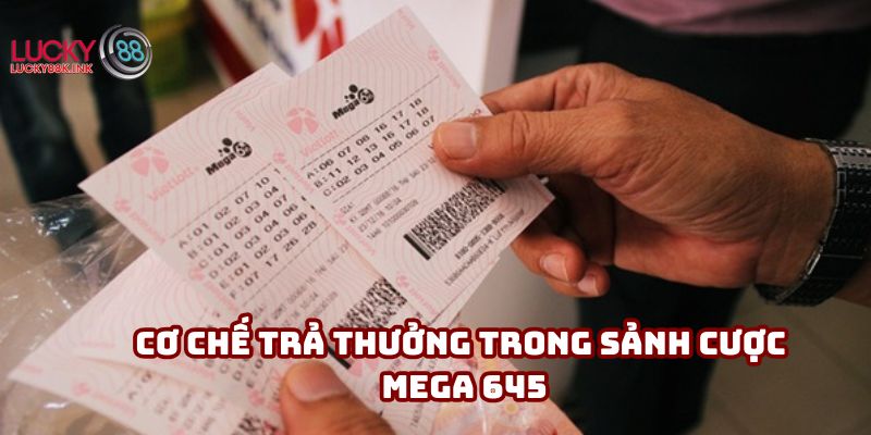 Cơ chế trả thưởng trong sảnh cược Mega 645