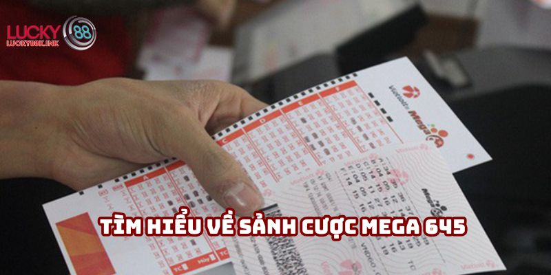 Tìm hiểu về sảnh cược Mega 645 có nghĩa là gì